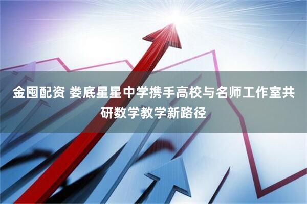 金囤配资 娄底星星中学携手高校与名师工作室共研数学教学新路径