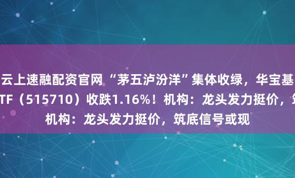 云上速融配资官网 “茅五泸汾洋”集体收绿，华宝基金食品饮料ETF（515710）收跌1.16%！机构：龙头发力挺价，筑底信号或现