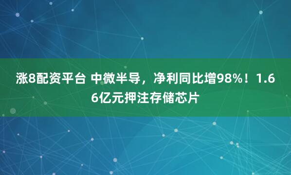 涨8配资平台 中微半导，净利同比增98%！1.66亿元押注存储芯片