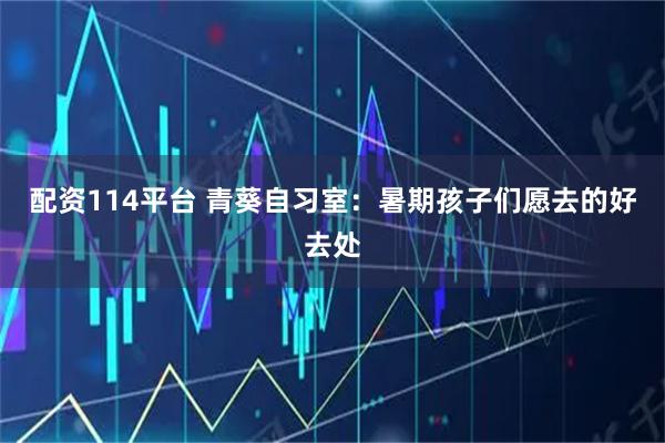 配资114平台 青葵自习室:暑期孩子们愿去的好去处